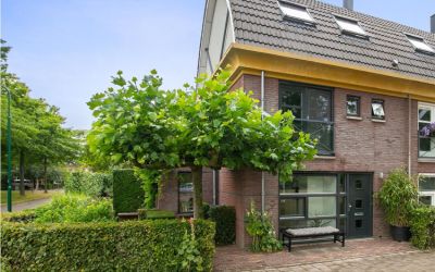 Zonnehout 10