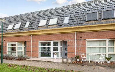 Rijstbouw 8