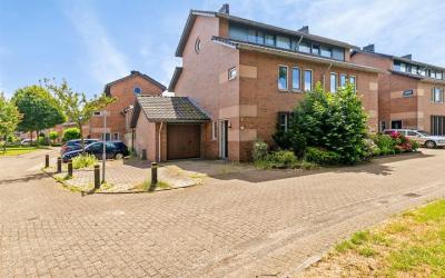 Dennenhout 26