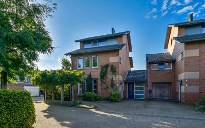 Iepenhout 2