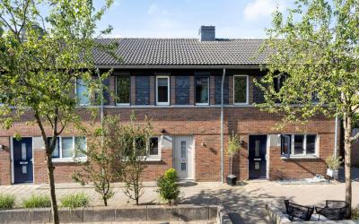 Kastanjehout 24