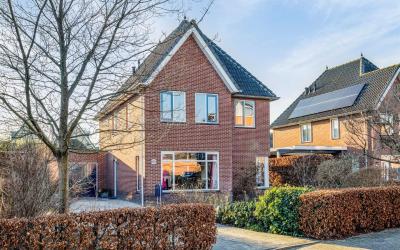 Beukenhout 82