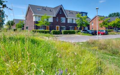 Nikkelslag 24