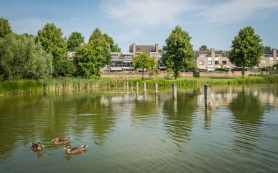 Ruitercamp 87