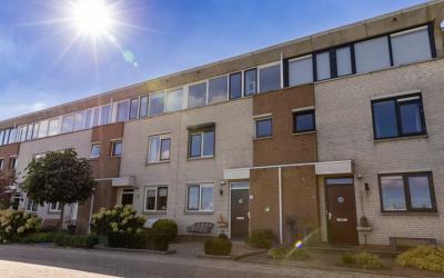 Gletsjermeer 5