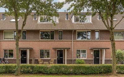 Steppemeer 18