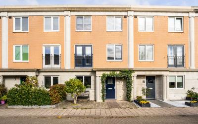 Schijfmos 53