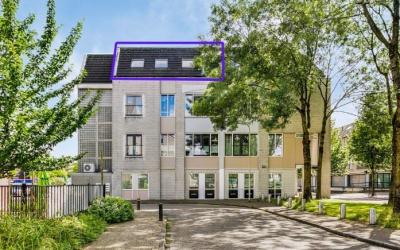 Schonenburg. 54-1