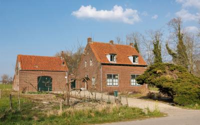 Wickenburgh. 18