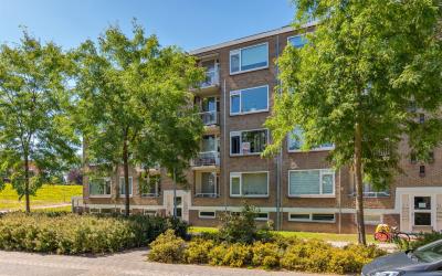 Jonge Schut. 66