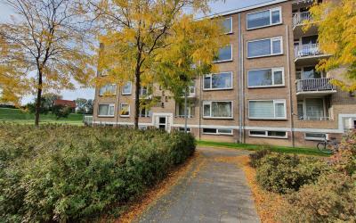 Jonge Schut. 68