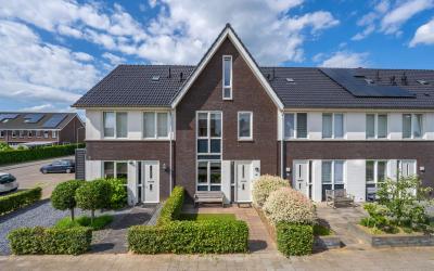Aardbeivlin. 103