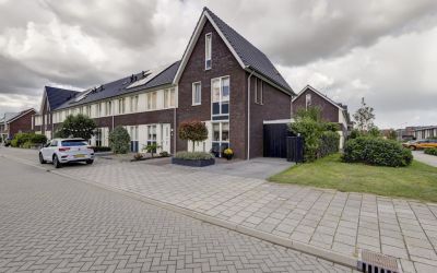 Aardbeivlin. 117