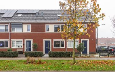 Aardbeivlin. 72