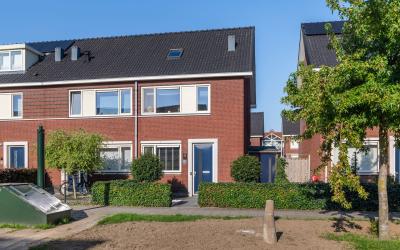 Aardbeivlin. 80