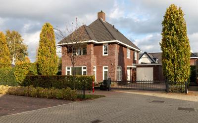 Bruine Vuur. 6