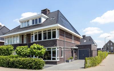 Grote Vuurvlinder 3