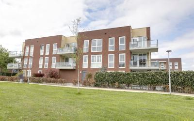 Grote Vos 14