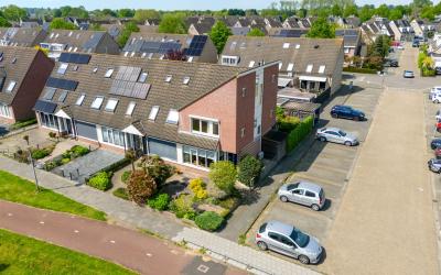 Morel 35