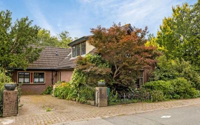 Hogestraat 54
