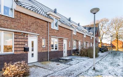 Goudplevier 10