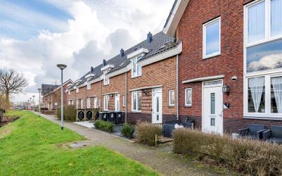Goudplevier 4