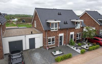 Patrijs 3