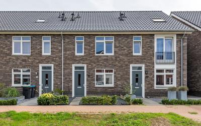 Scholekster 25