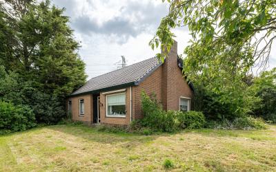 Uilenburgse. 2