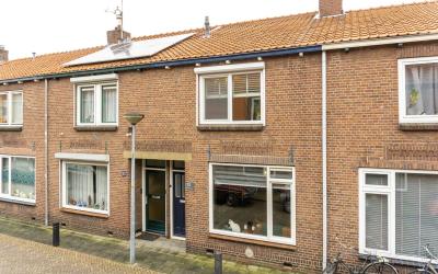 Goudsbloems. 12