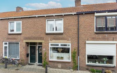 Goudsbloems. 16