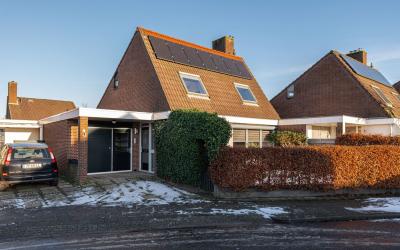 Beukeboom 8