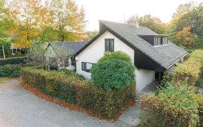 Moerbeiboom 5