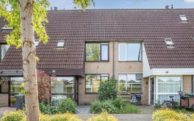 Wilgeboom 33