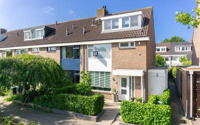 Wilgeboom 53