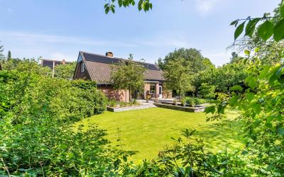 Wilgeboom 12
