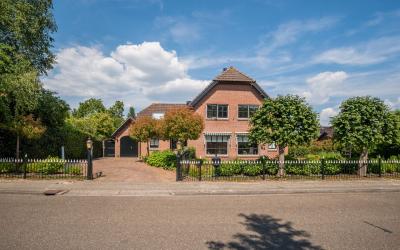 Wilgeboom 14