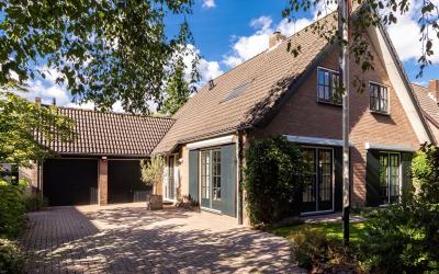Wilgeboom 6