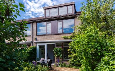 Berkeboom 49