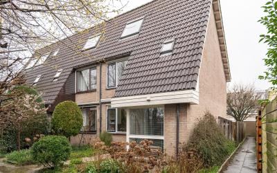 Berkeboom 53