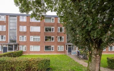 Ravelijnstraat 39