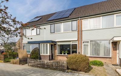 Sleutelbloem 8