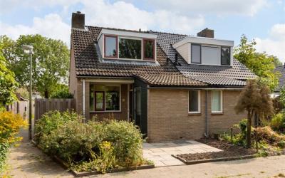 Sleutelbloem 49