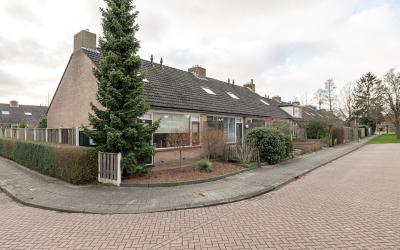 Sleutelbloem 51