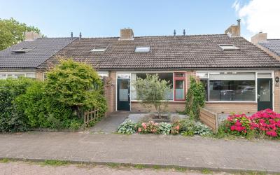 Sleutelbloem 52