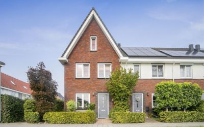 de Oranjeboom 2