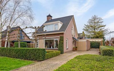 Willem-Alex. 7