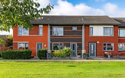 Goudreinette 3