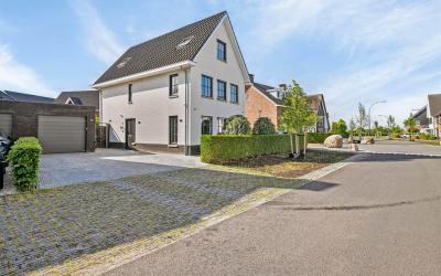 Hoevesteins. 6