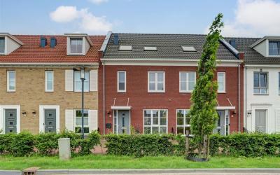 Hagesteinse. 18